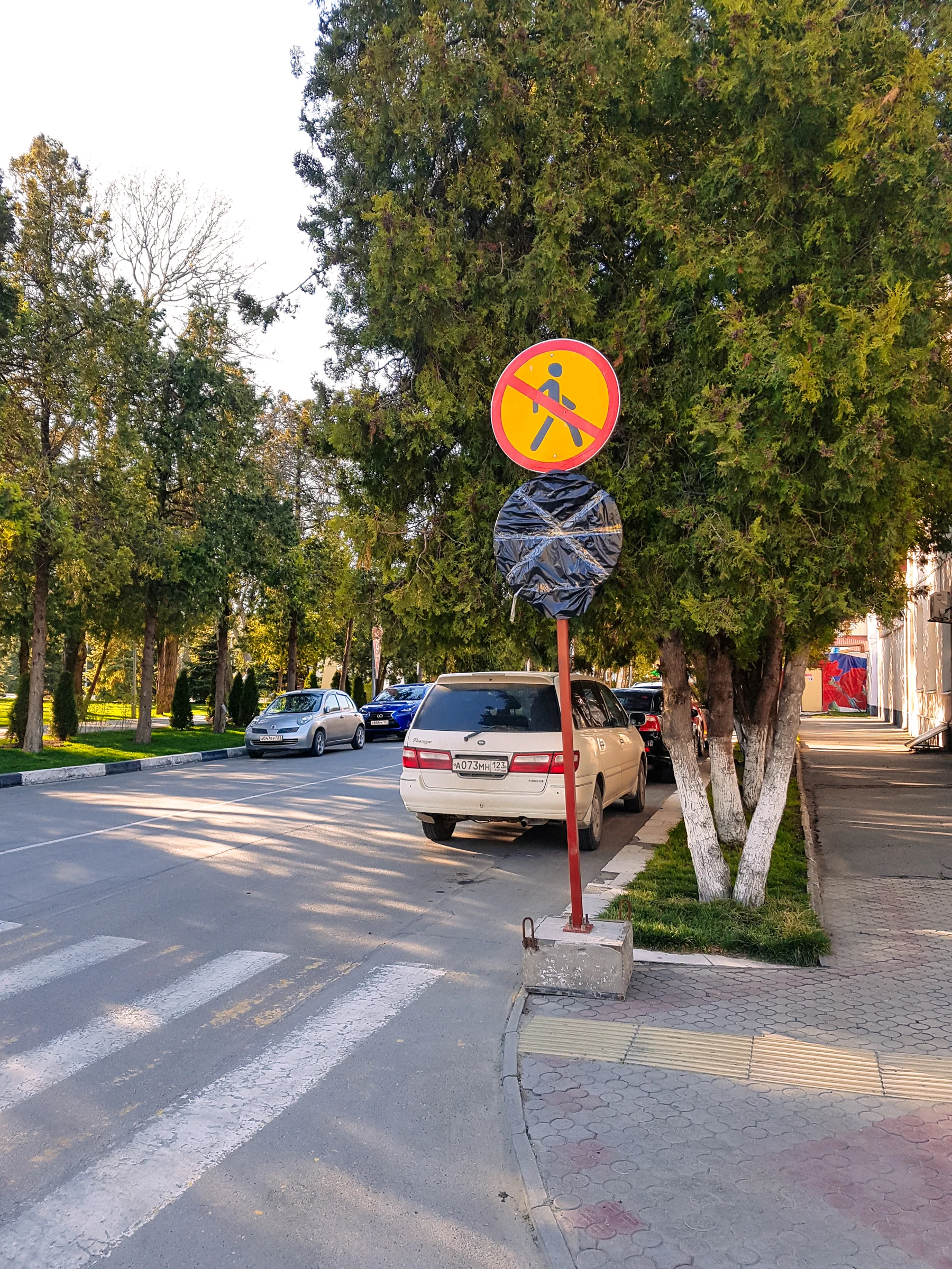 Неизвестные науке и ПДД дорожные знаки в Анапе