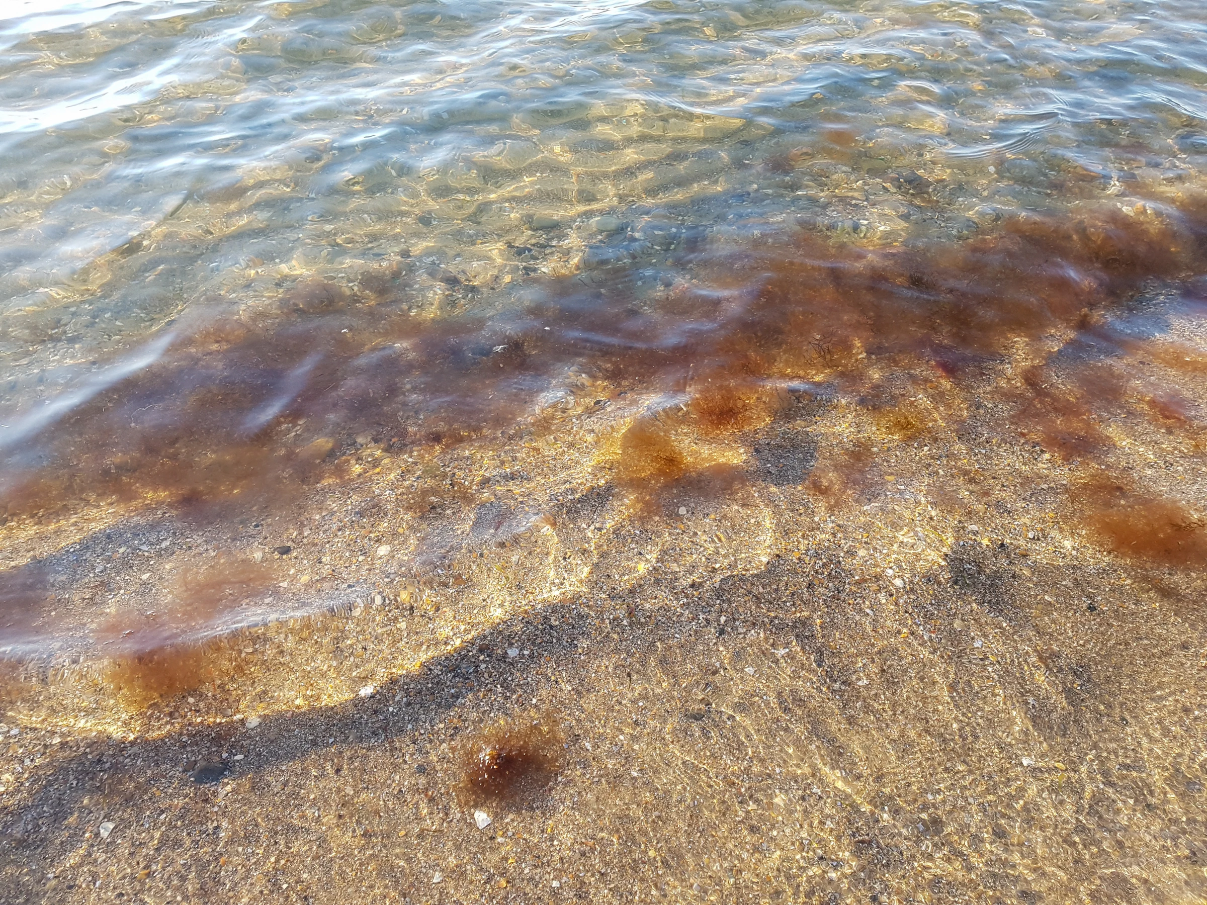 Морская вода чистая и прозрачная