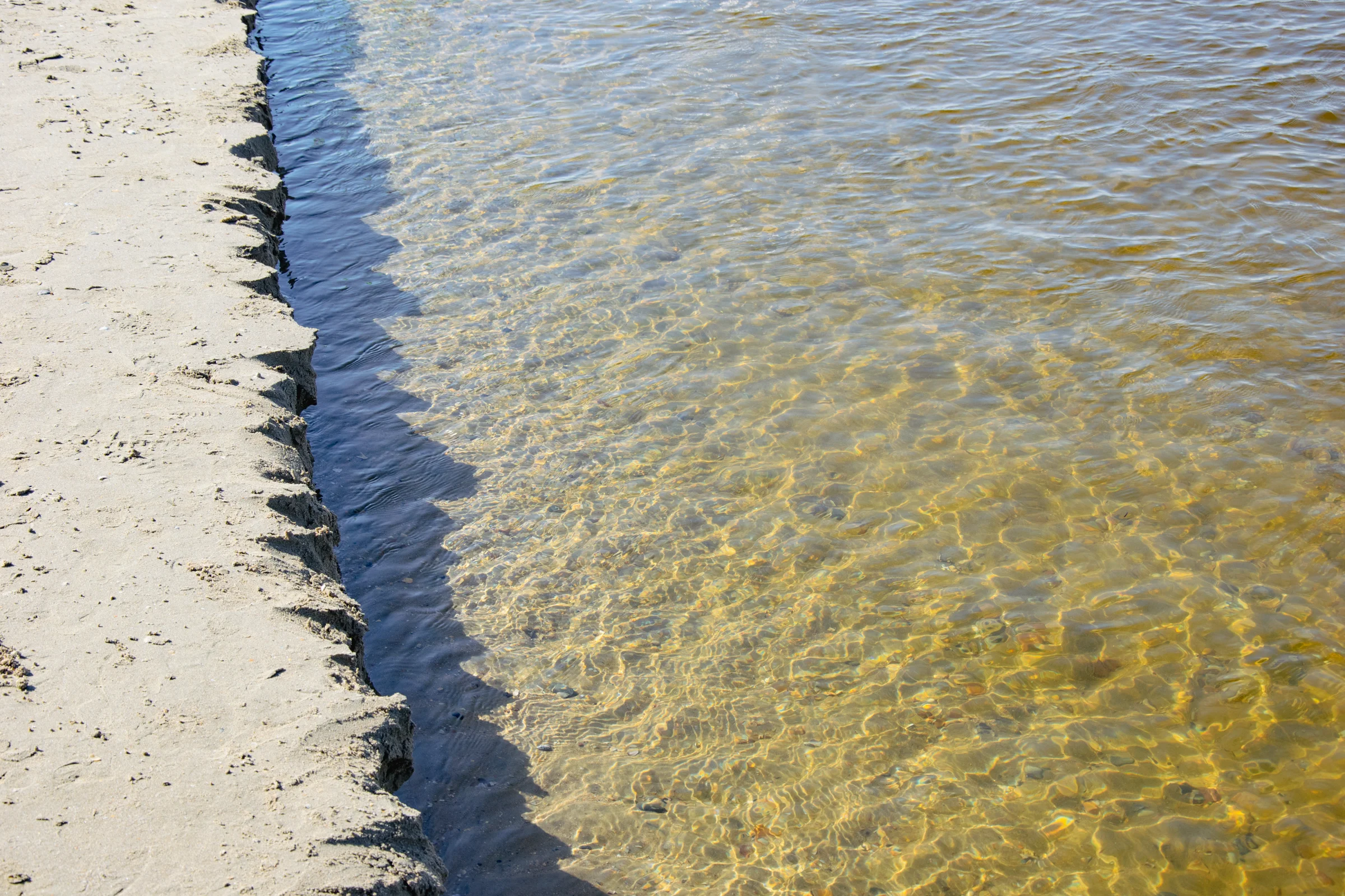 вода в речке Анапка выглядит чистой, но на самом деле нет