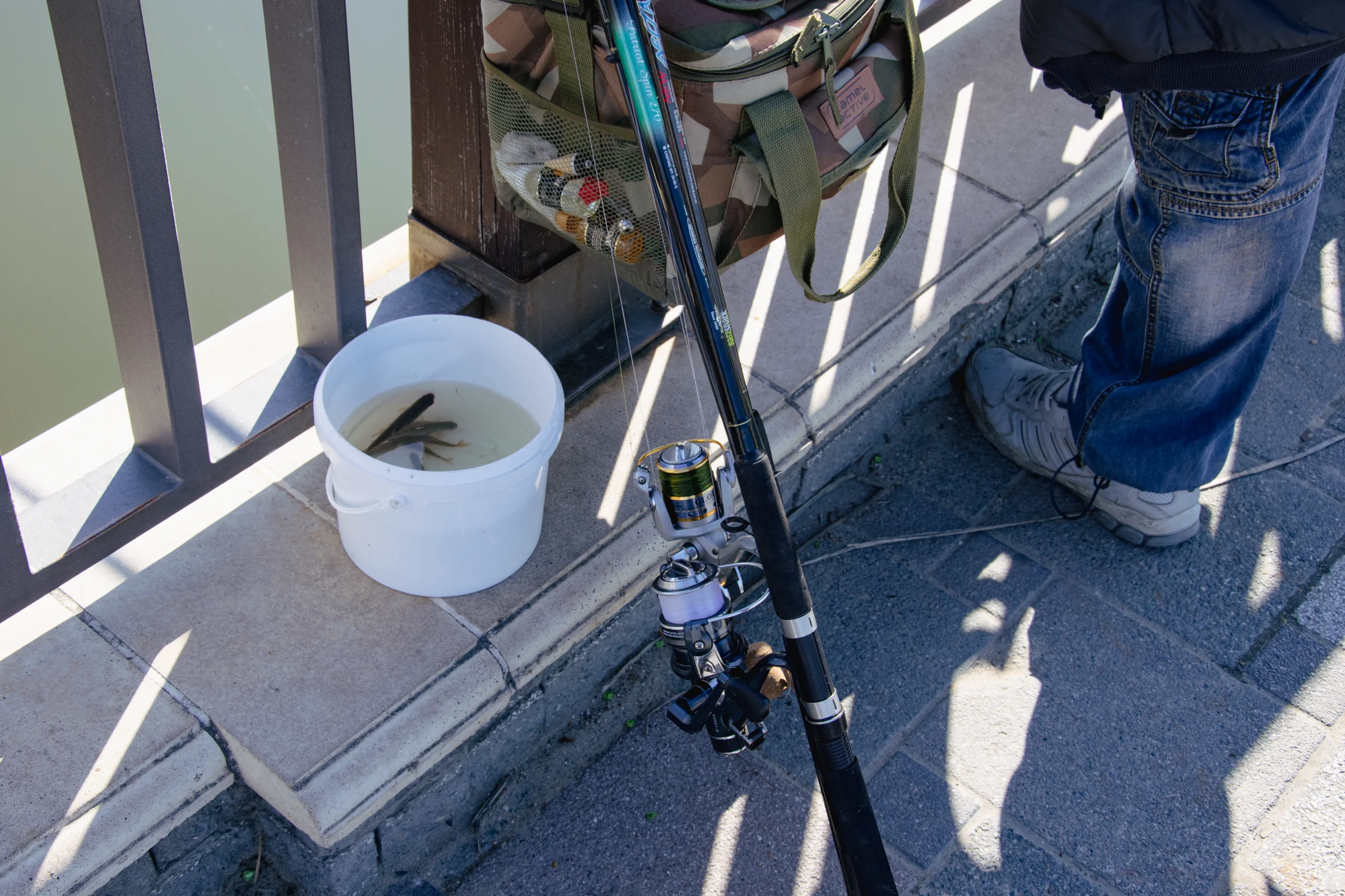 вот такую рыбу ловят в речке Анапка