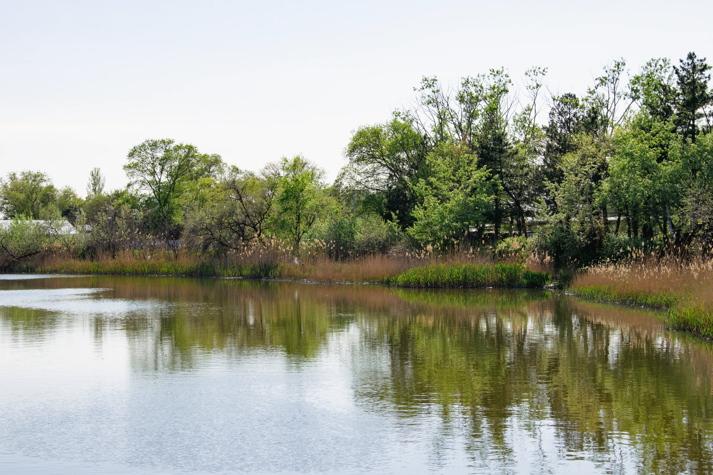 речка анапка
