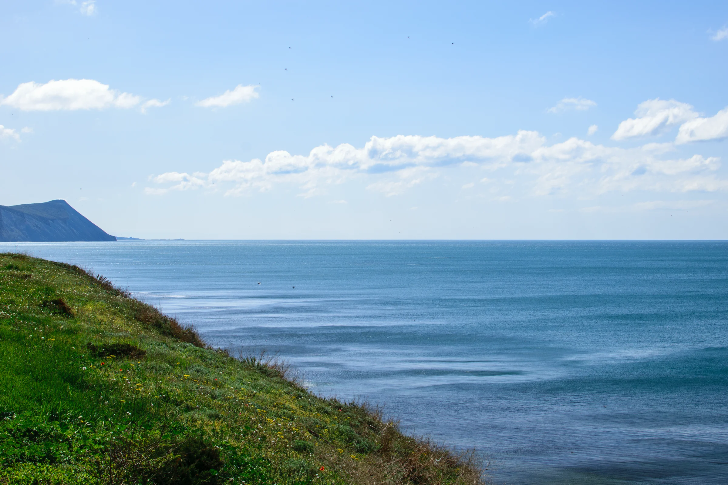 лысая гора в Анапе