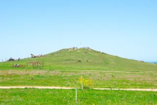 Атамань