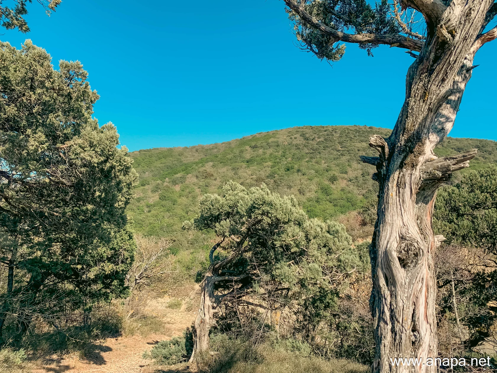 Анапа фото 3