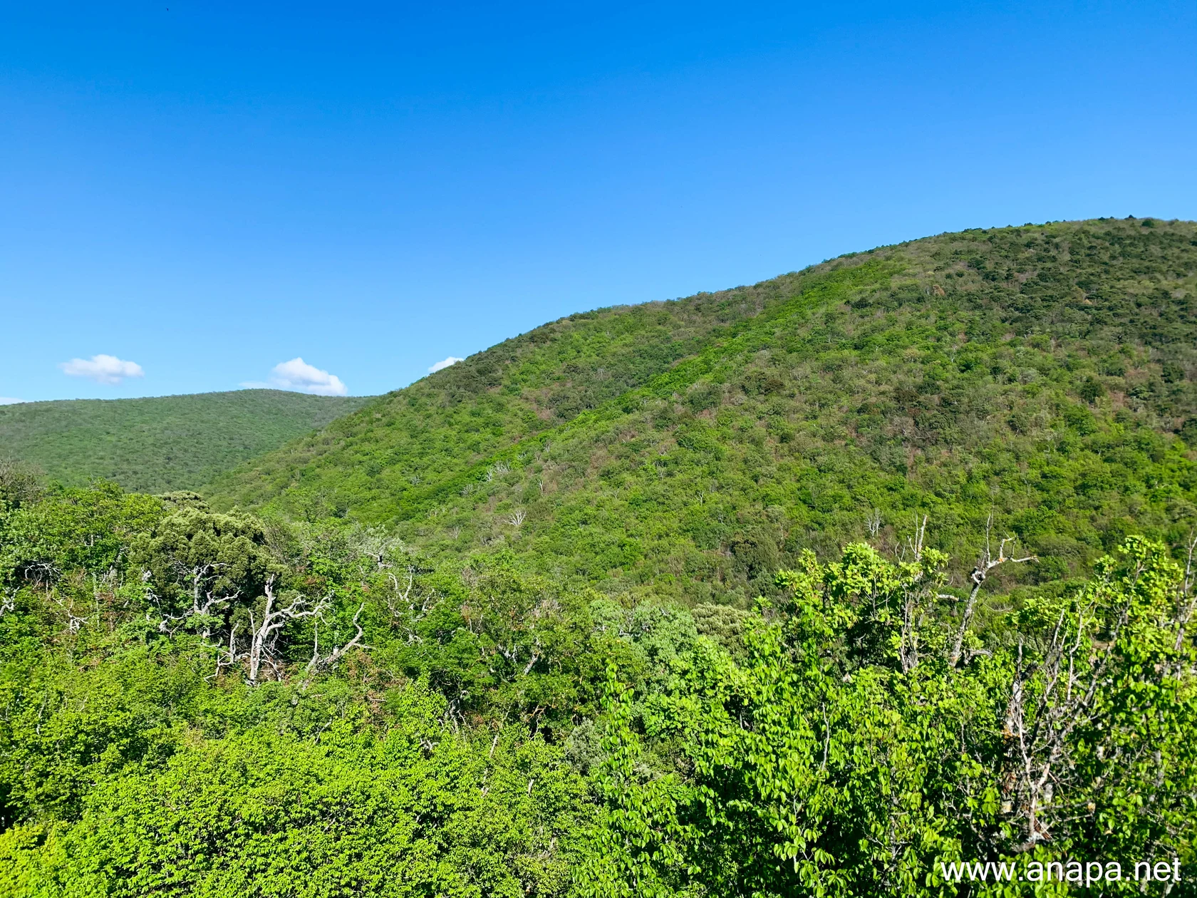 Анапа в фотографиях 2