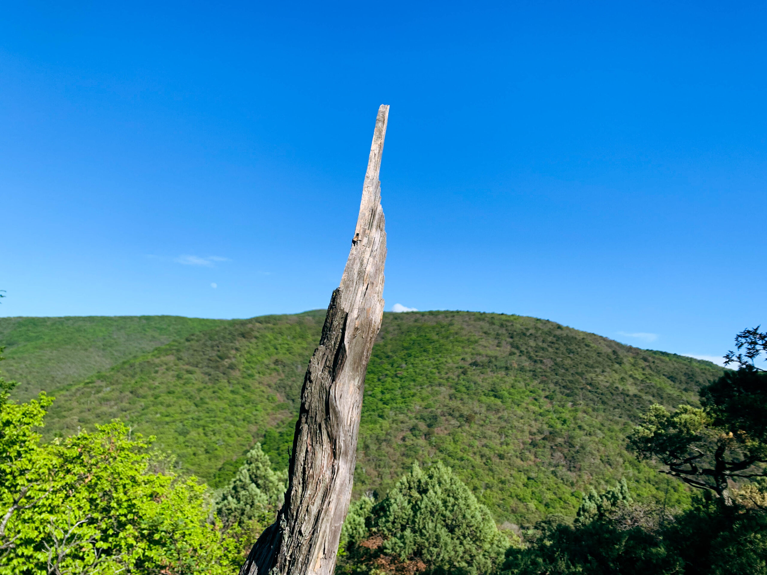 Анапа в фотографиях 5