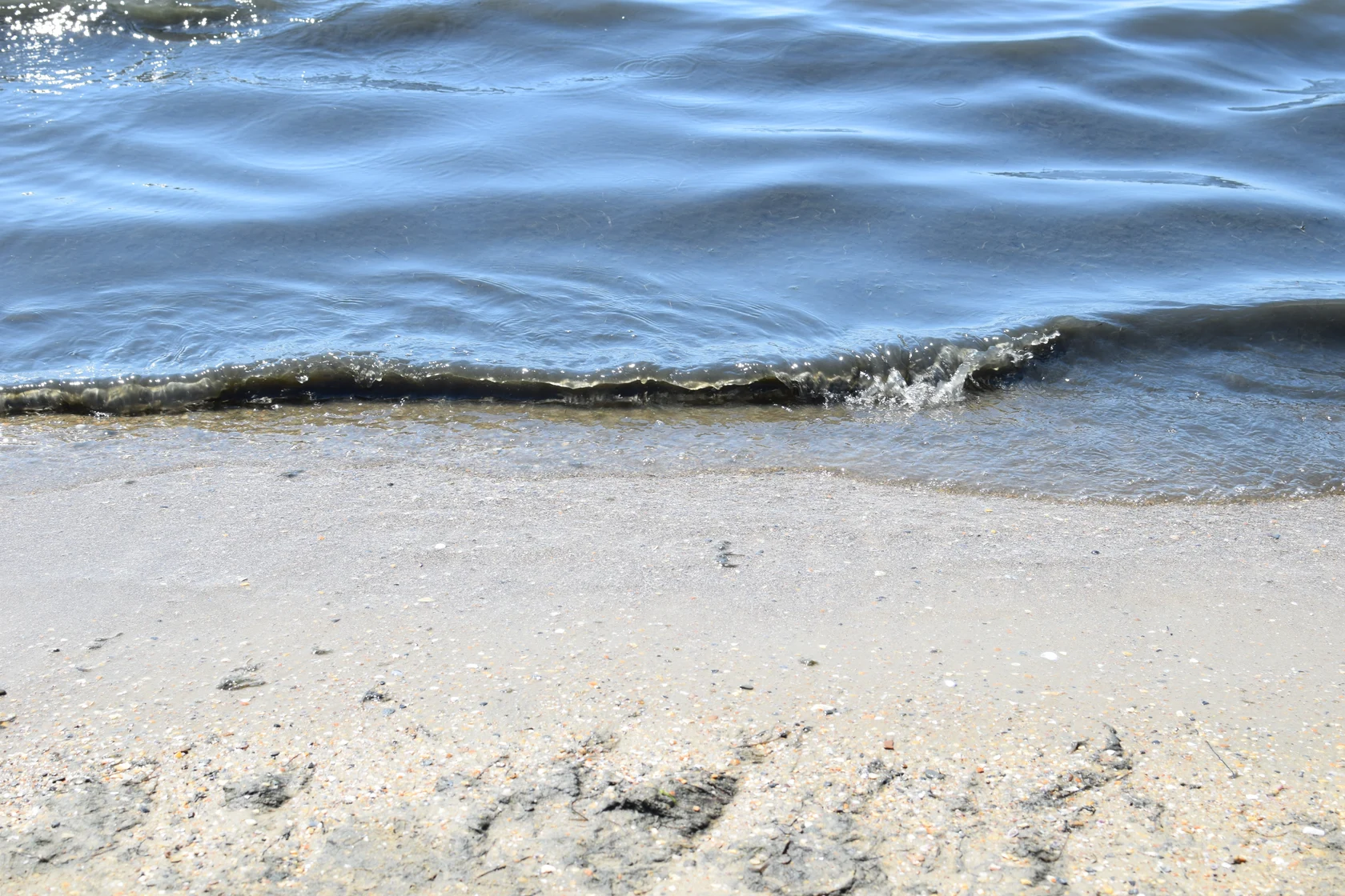 анапа море камка