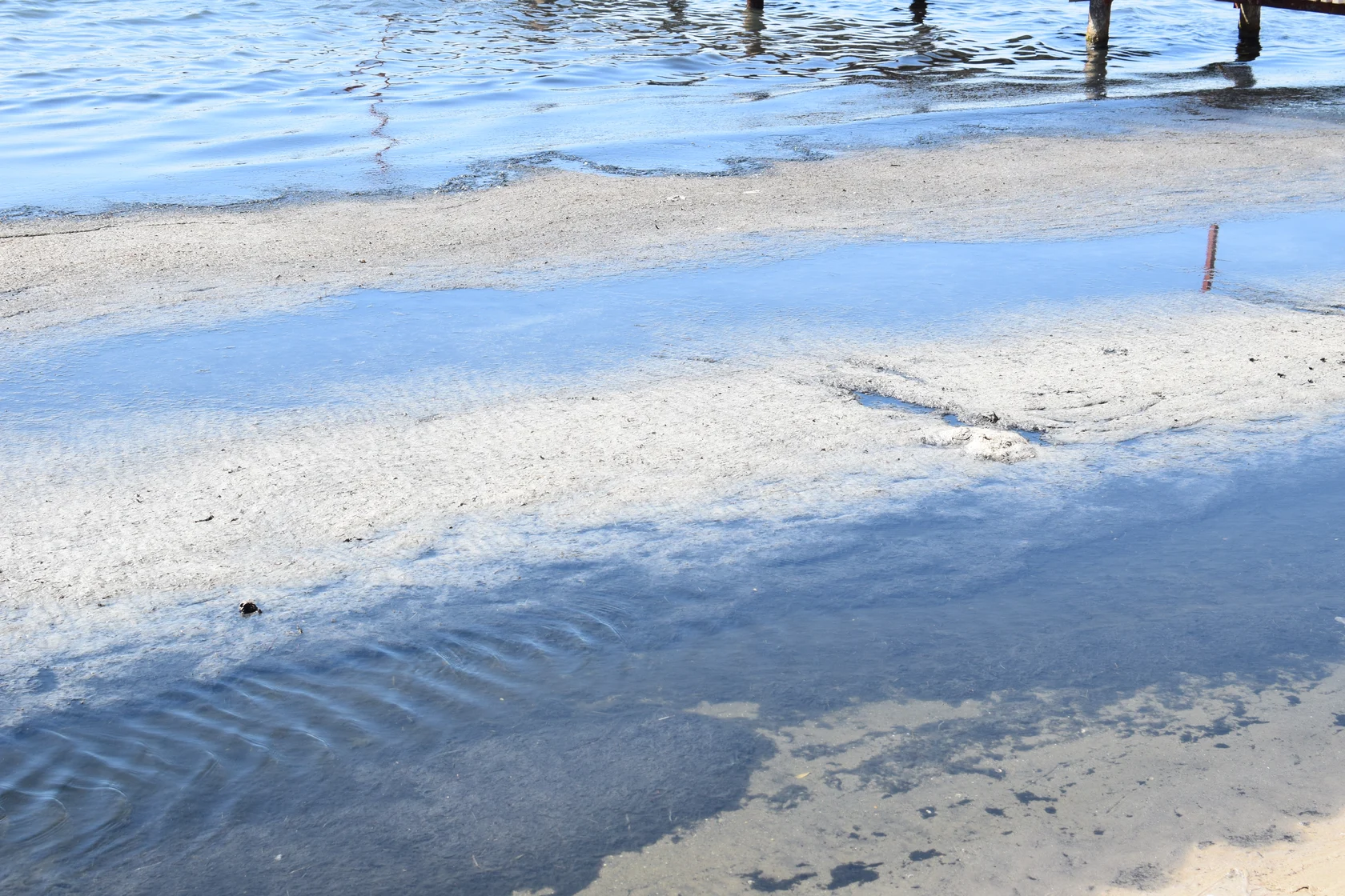 анапа море камка