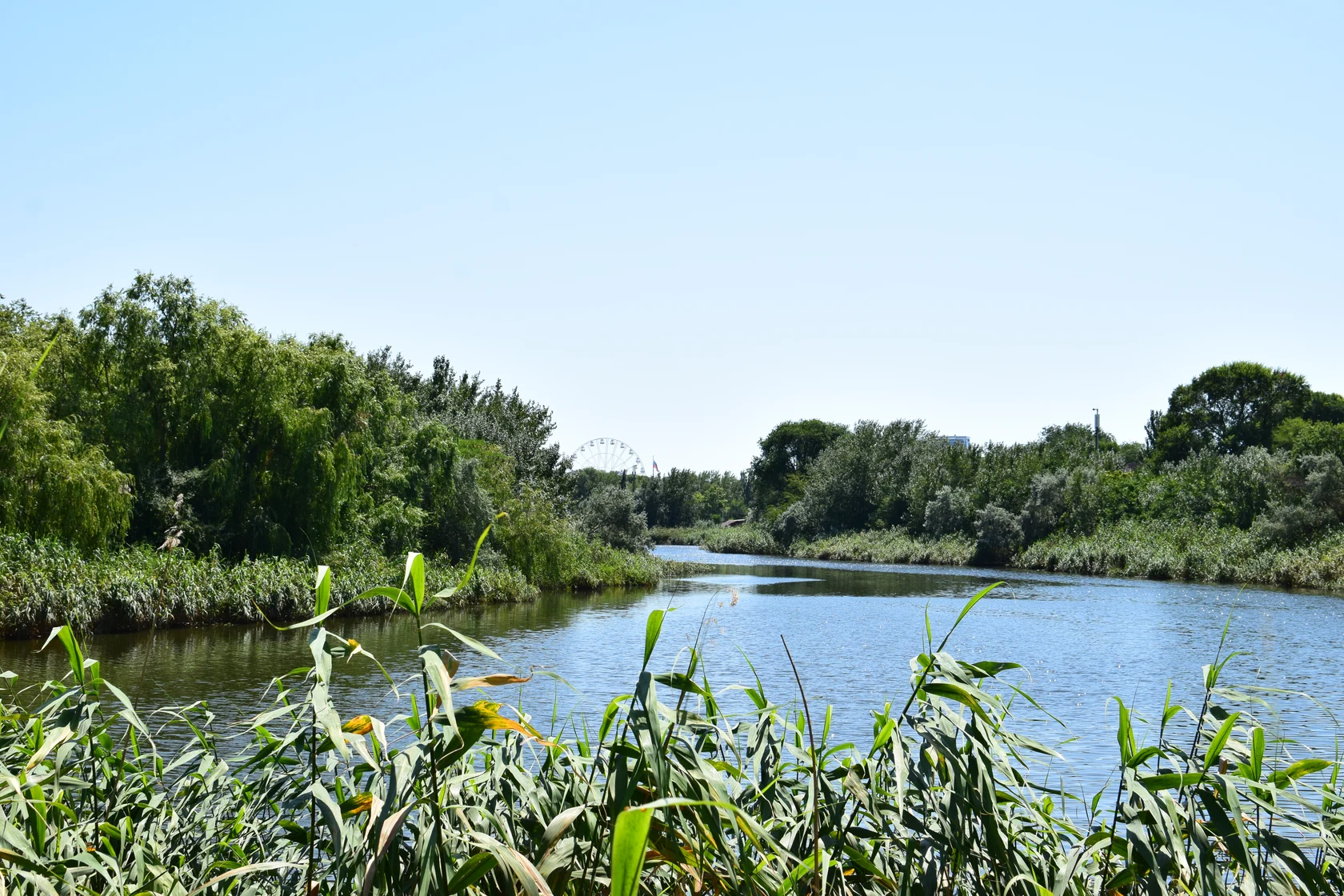 речка Анапка 2025