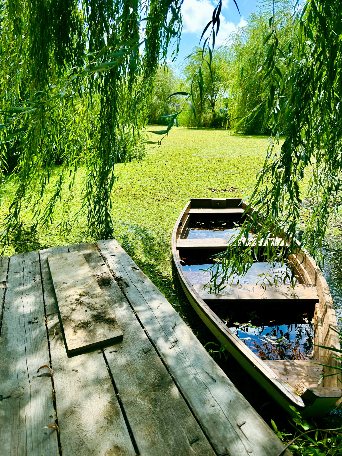 Анапа, конец августа 2025 - вино и лодка2