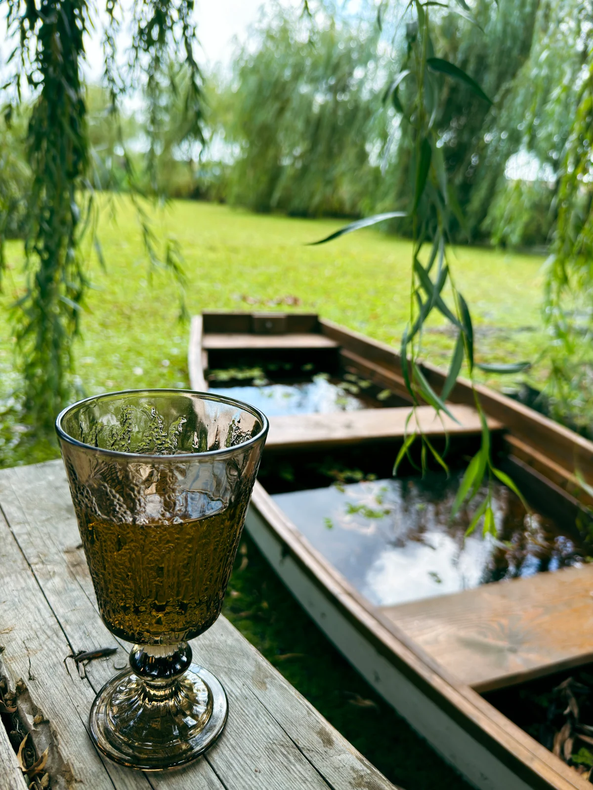 Анапа, конец августа 2025 - вино и лодка2