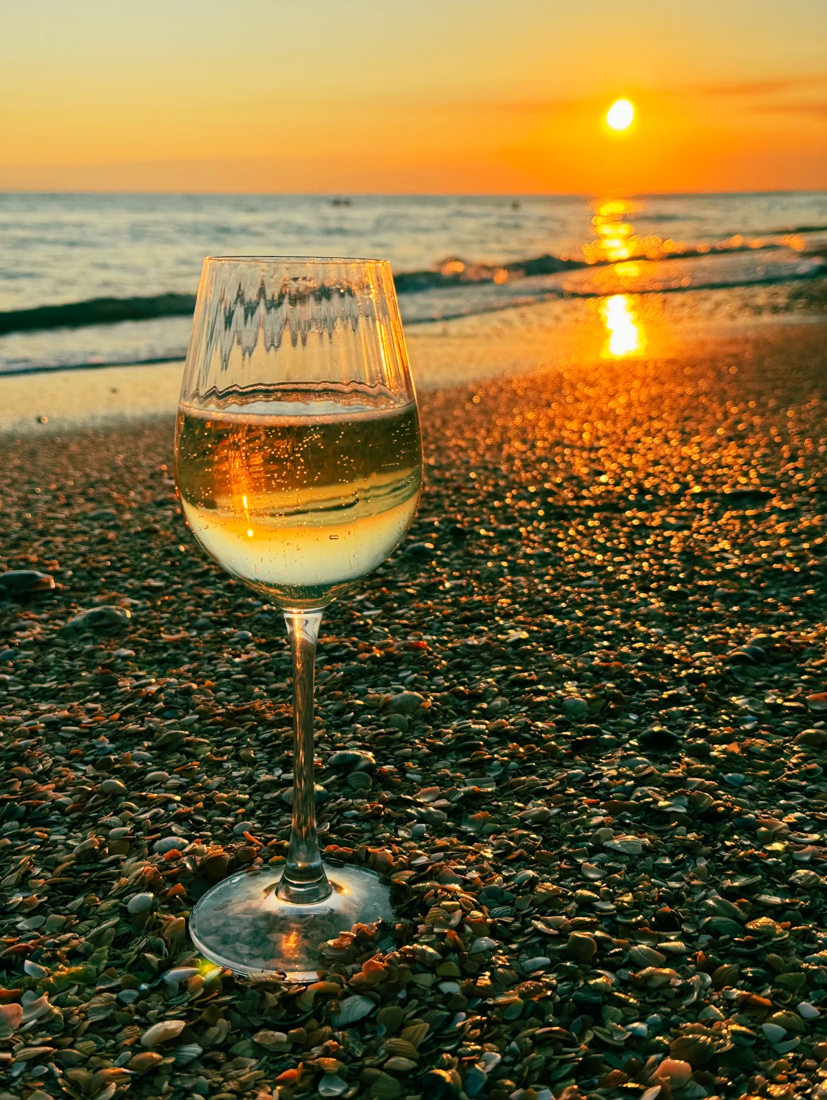 Анапа, сентябрь 2025 - вино и море2