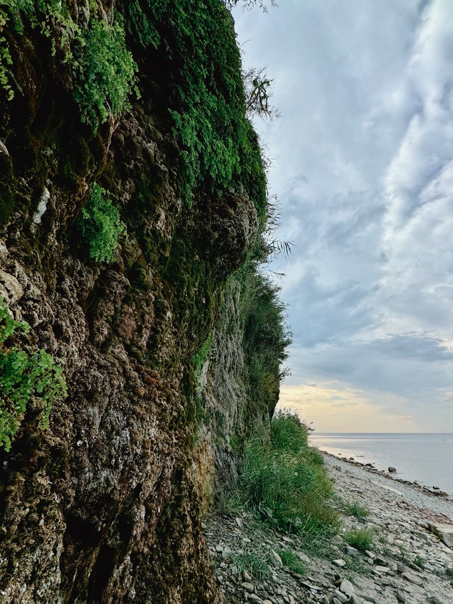 Анапа Большой Утриш - сентябрь 2025 скалистый берег