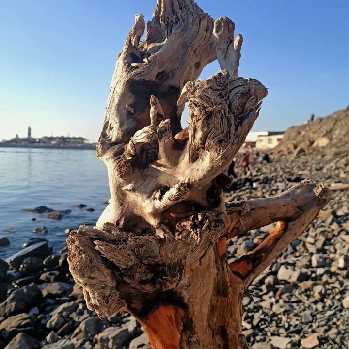 Заповедник Утриш - пляжи