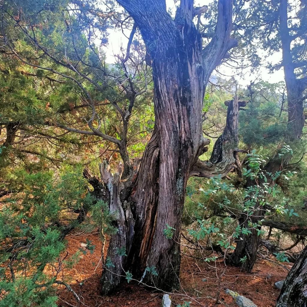 Заповедник Утриш природа