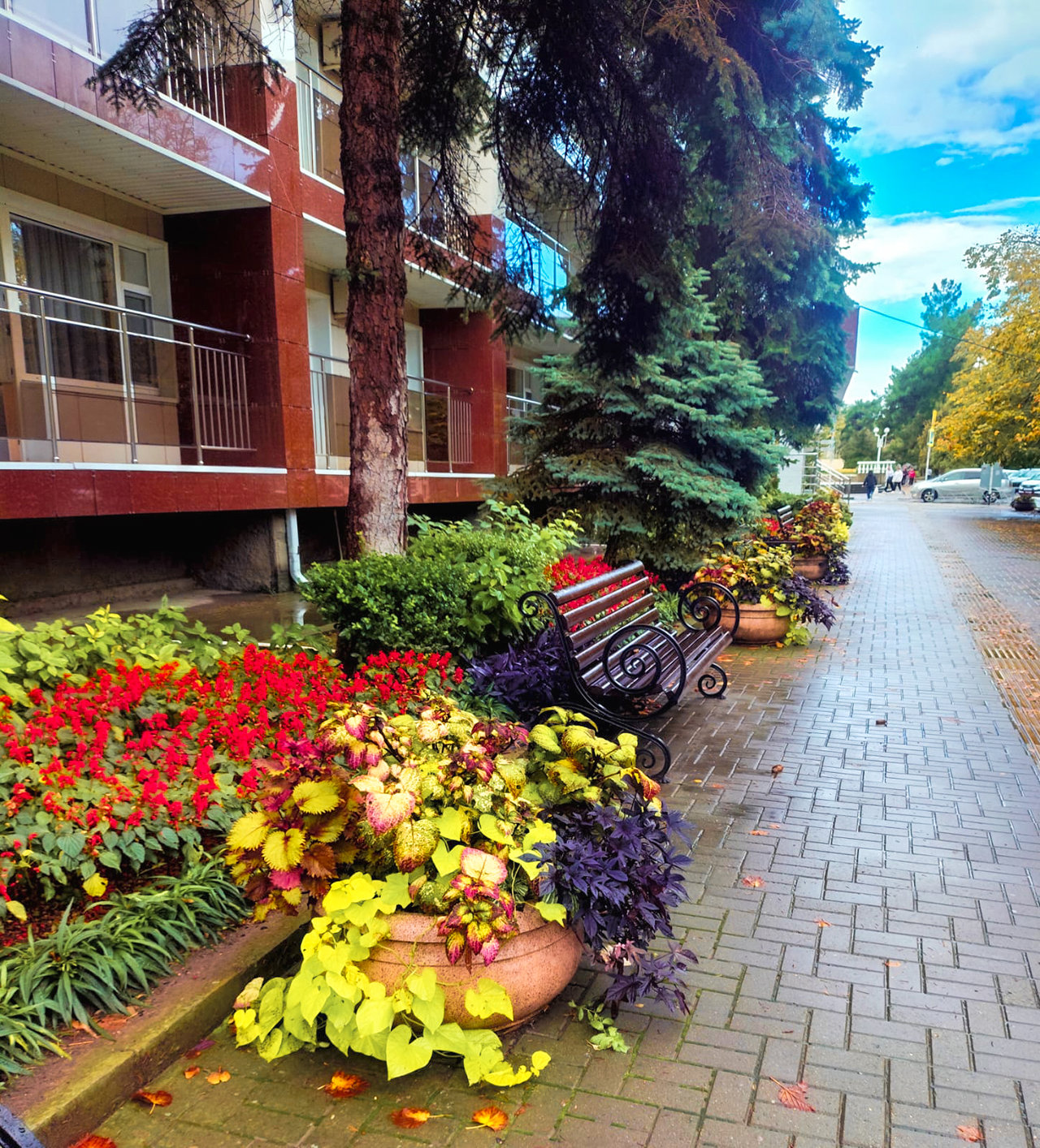 Анапа - октябрь 2025 - после дождя фото 1