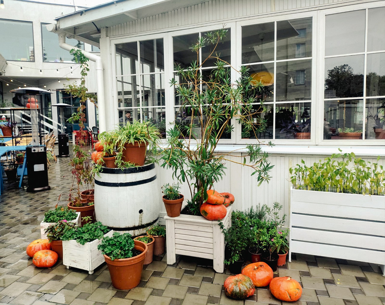 Анапа - октябрь 2025 - после дождя - набережная - фото 4