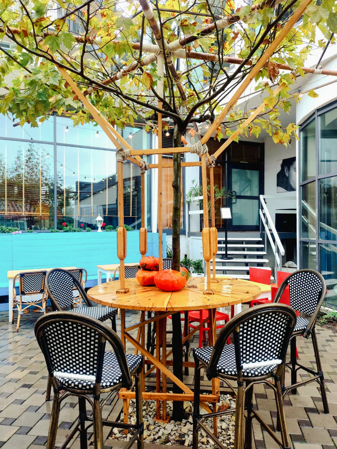 Анапа - октябрь 2025 - после дождя - набережная - фото 5