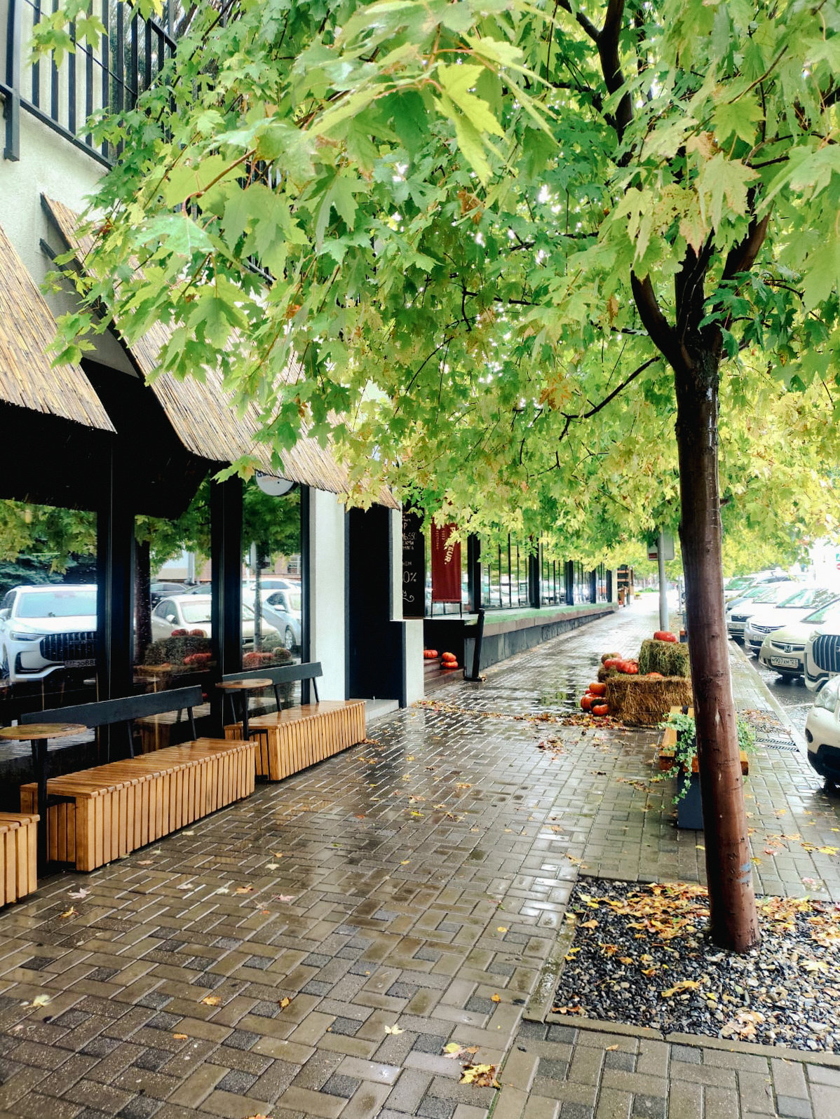 Анапа - октябрь 2025 - после дождя - набережная - фото 7