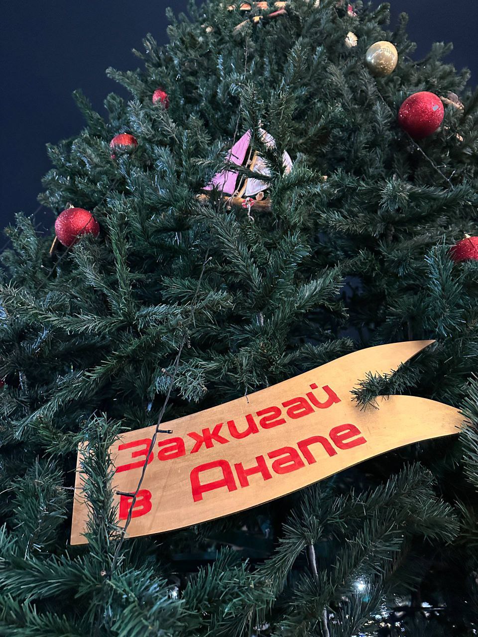 Праздничные мероприятия на Театральной площади 15 декабря 2025 года - фото 10