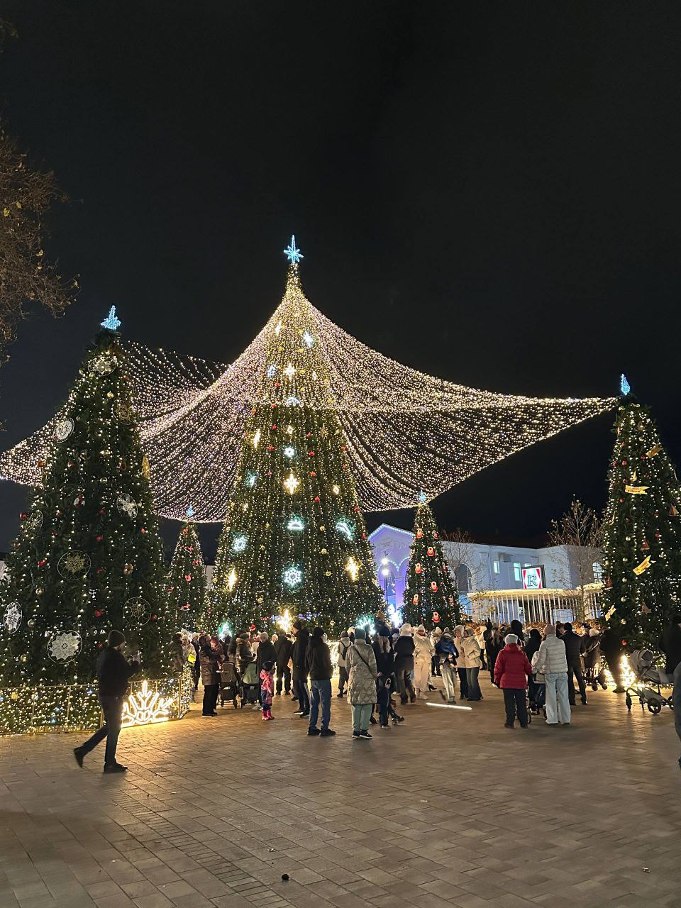 Праздничные мероприятия на Театральной площади 15 декабря 2025 года - фото 13