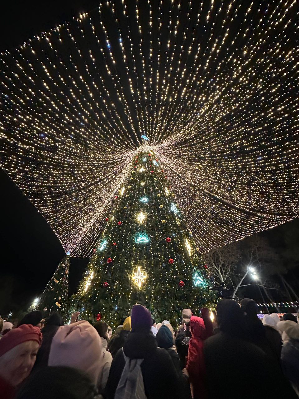 Праздничные мероприятия на Театральной площади 15 декабря 2025 года - фото 14