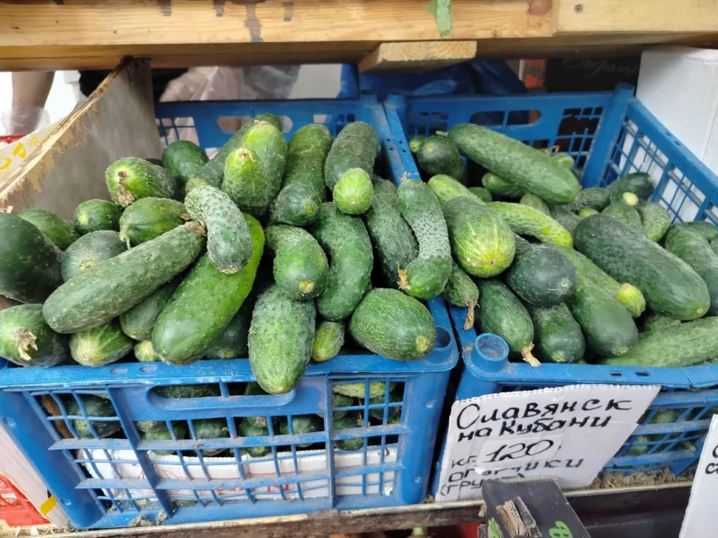 цены в Анапе на огурцы