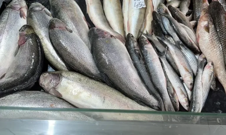цены на рыбу в Анапе