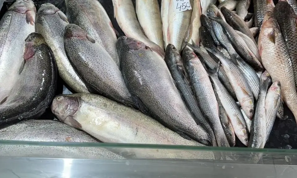 цены на рыбу в Анапе
