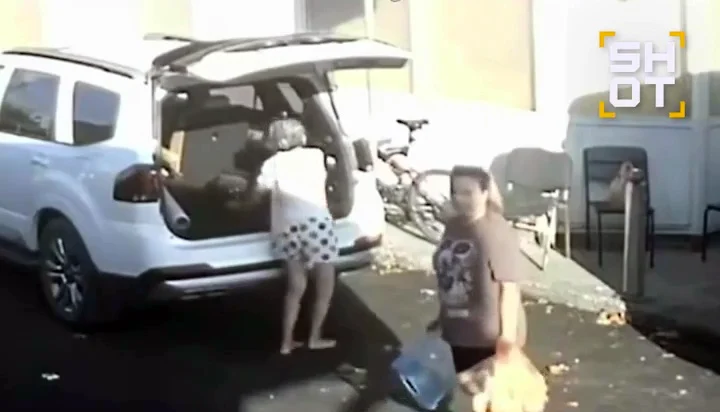 бездомная в багажнике а/м в Анапе