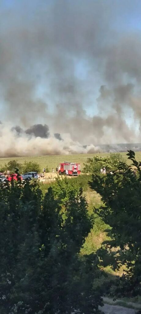 горят плавни в Анапе